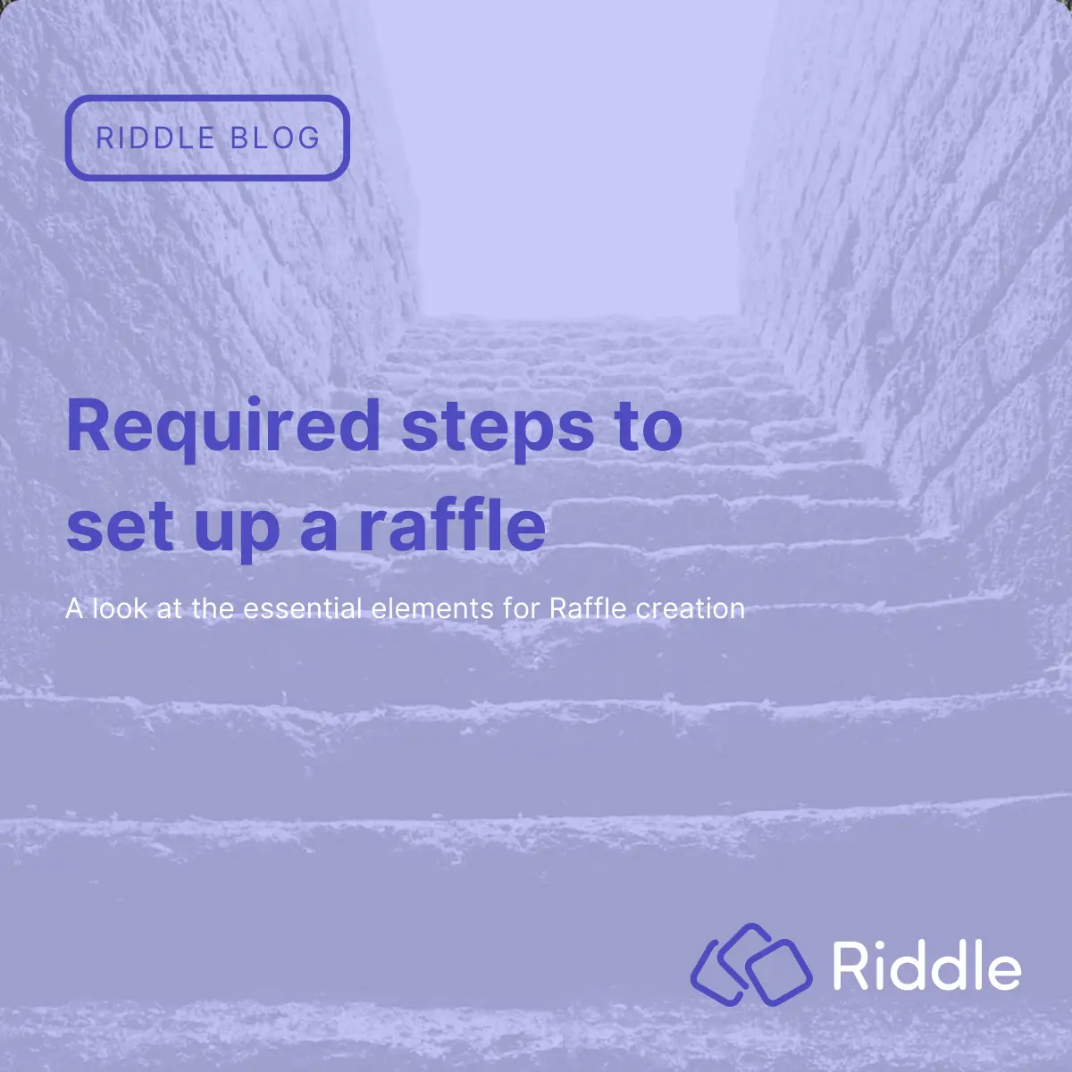 required steps to set up an online contest